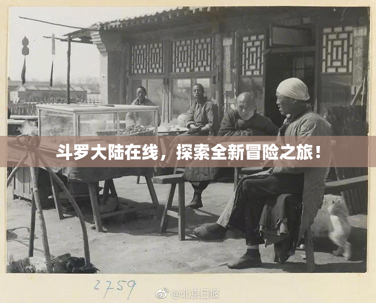 斗罗大陆在线，探索全新冒险之旅！