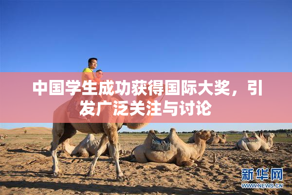 中国学生成功获得国际大奖，引发广泛关注与讨论