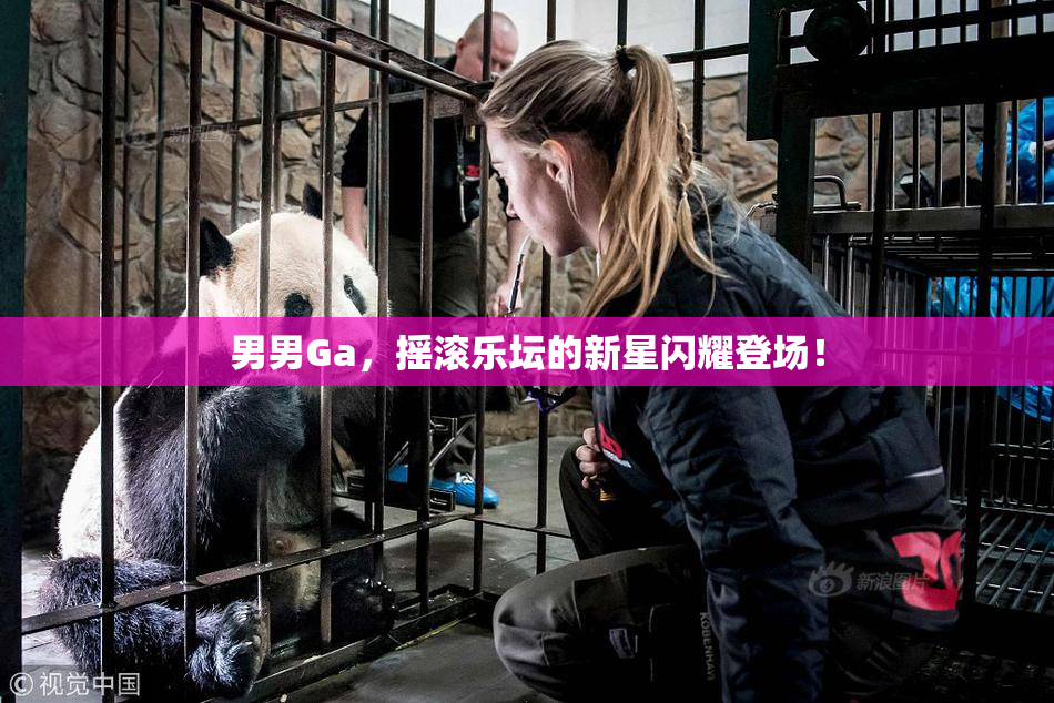 男男Ga，摇滚乐坛的新星闪耀登场！
