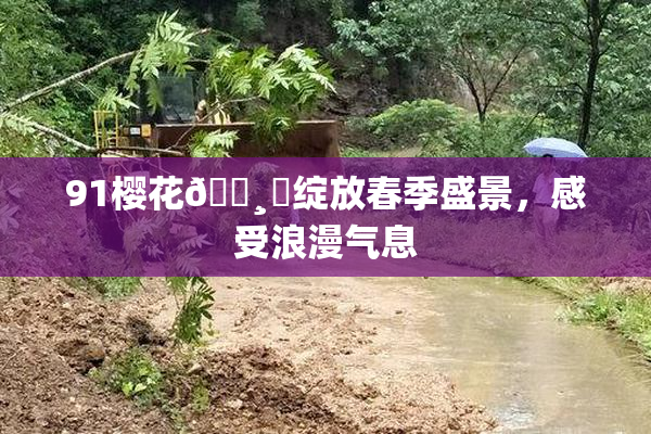91樱花🌸‌绽放春季盛景，感受浪漫气息