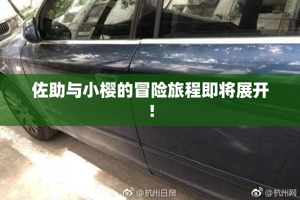 佐助与小樱的冒险旅程即将展开！