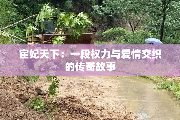 宦妃天下：一段权力与爱情交织的传奇故事