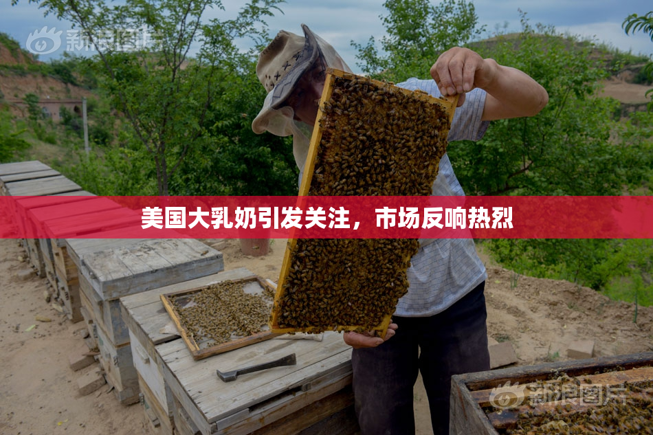 美国大乳奶引发关注，市场反响热烈