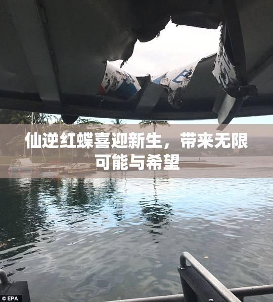 仙逆红蝶喜迎新生，带来无限可能与希望