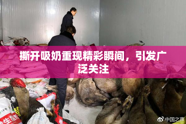 撕开吸奶重现精彩瞬间，引发广泛关注