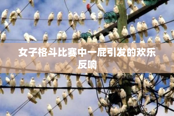 女子格斗比赛中一屁引发的欢乐反响
