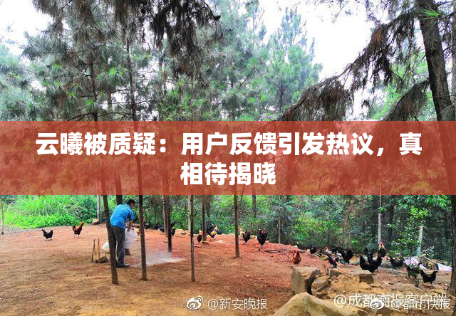 云曦被质疑：用户反馈引发热议，真相待揭晓