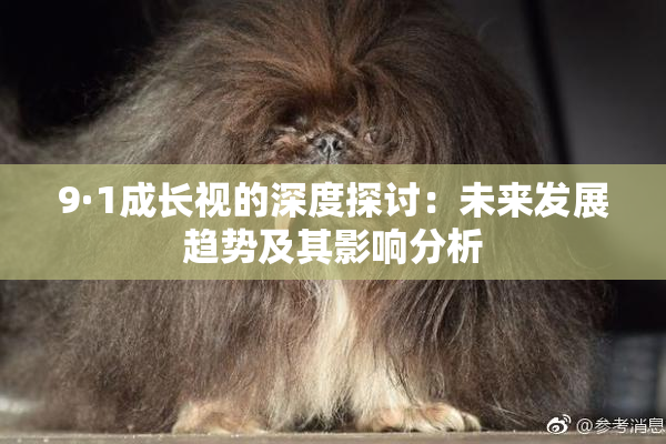 9·1成长视的深度探讨：未来发展趋势及其影响分析