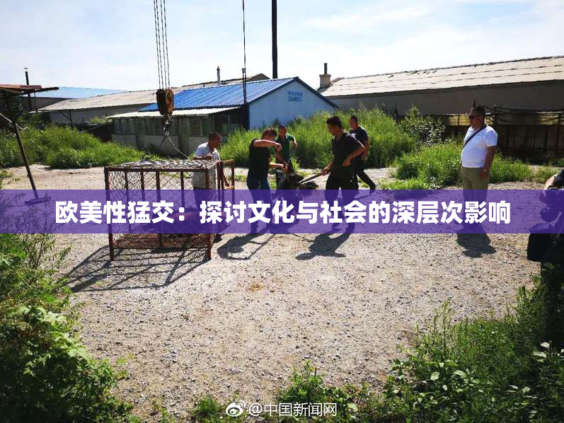 欧美性猛交：探讨文化与社会的深层次影响
