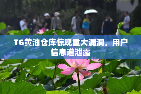 TG黄油仓库惊现重大漏洞，用户信息遭泄露