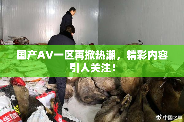 国产AV一区再掀热潮，精彩内容引人关注！