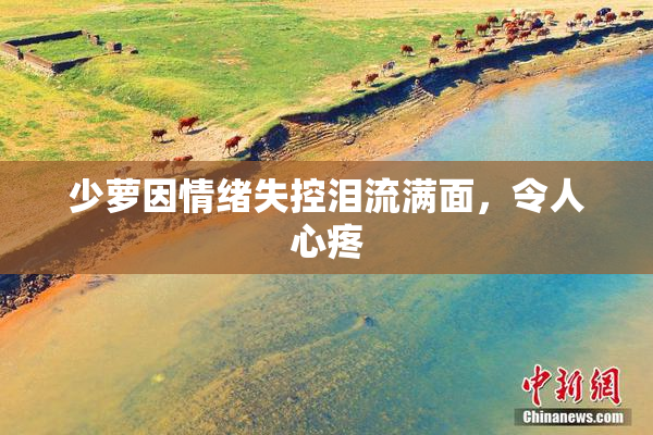 少萝因情绪失控泪流满面，令人心疼