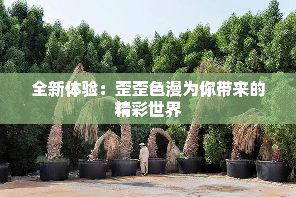 全新体验：歪歪色漫为你带来的精彩世界