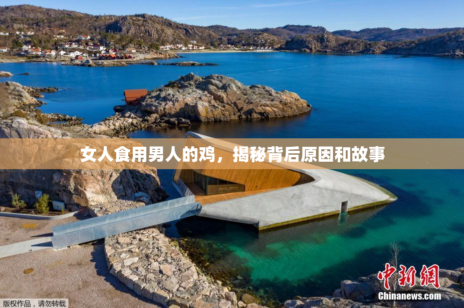 女人食用男人的鸡，揭秘背后原因和故事