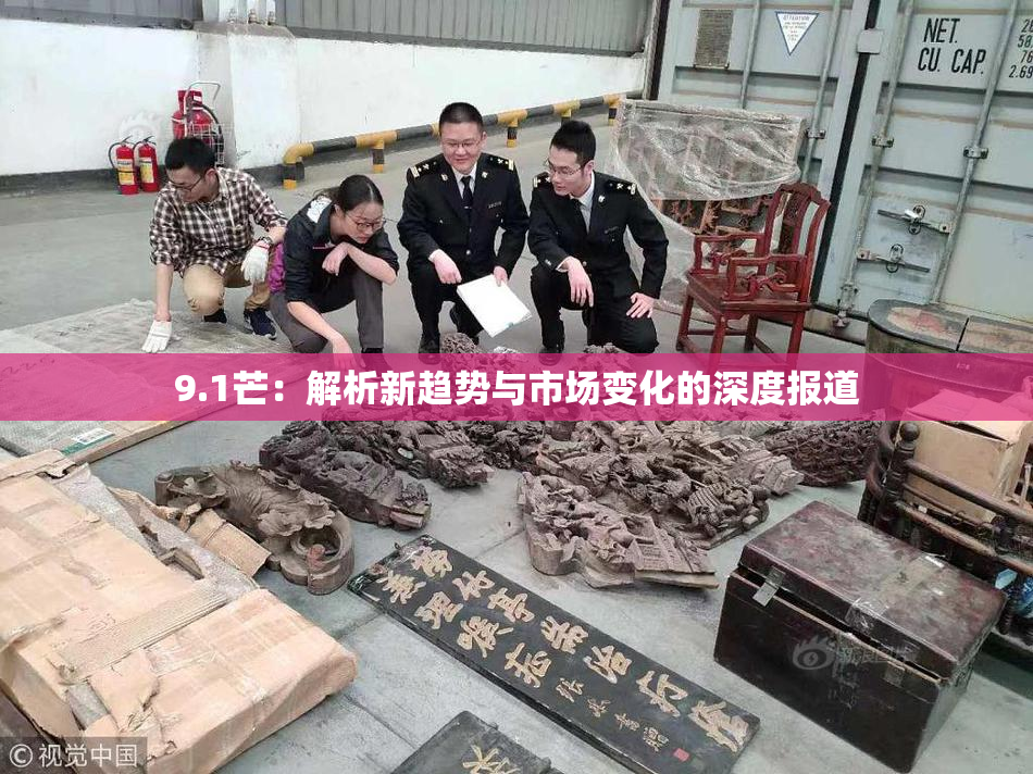9.1芒：解析新趋势与市场变化的深度报道