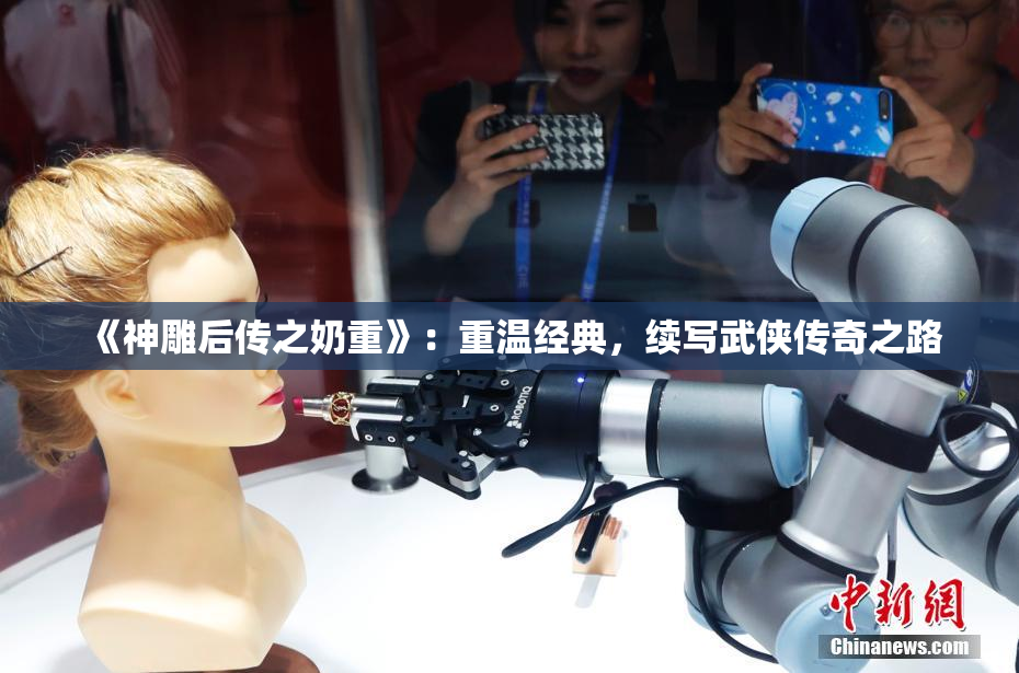 《神雕后传之奶重》：重温经典，续写武侠传奇之路