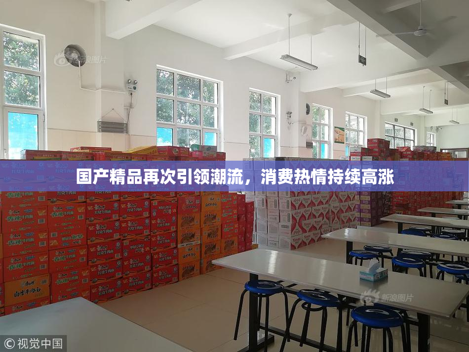 国产精品再次引领潮流，消费热情持续高涨