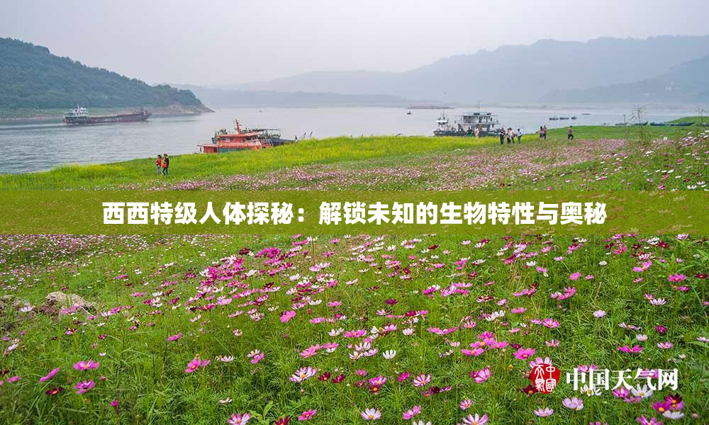 西西特级人体探秘：解锁未知的生物特性与奥秘