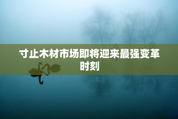 寸止木材市场即将迎来最强变革时刻