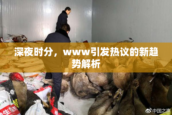 深夜时分，www引发热议的新趋势解析