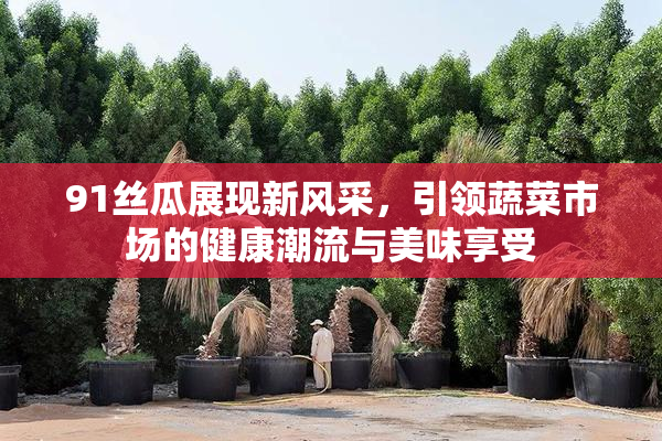 91丝瓜展现新风采，引领蔬菜市场的健康潮流与美味享受