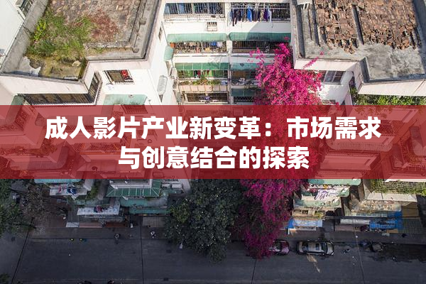 成人影片产业新变革：市场需求与创意结合的探索