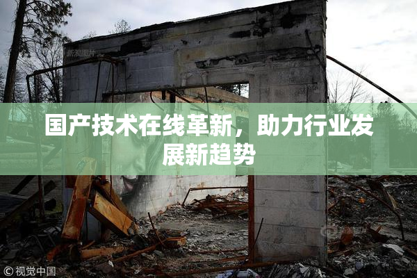国产技术在线革新，助力行业发展新趋势