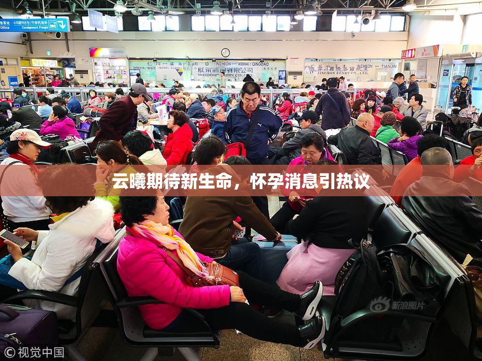 云曦期待新生命，怀孕消息引热议