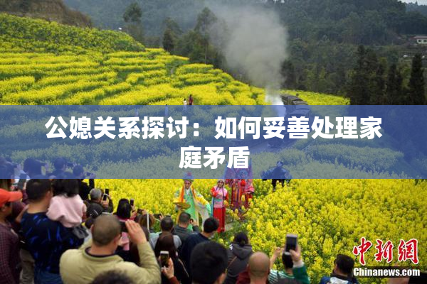 公媳关系探讨：如何妥善处理家庭矛盾