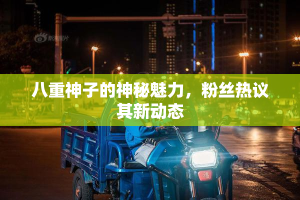 八重神子的神秘魅力，粉丝热议其新动态