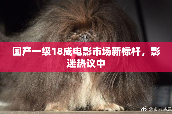 国产一级18成电影市场新标杆，影迷热议中