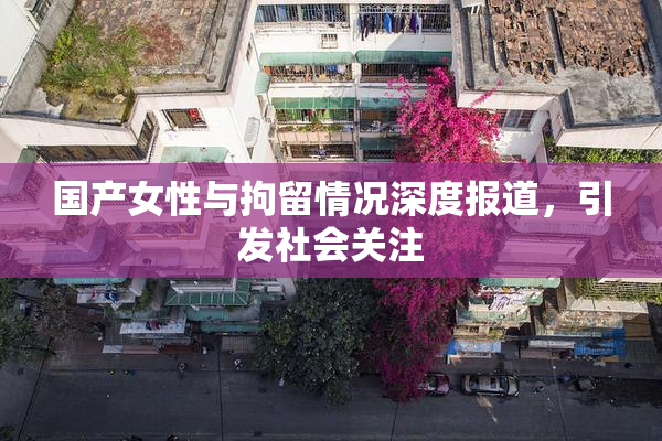 国产女性与拘留情况深度报道，引发社会关注