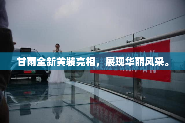 甘雨全新黄装亮相，展现华丽风采。