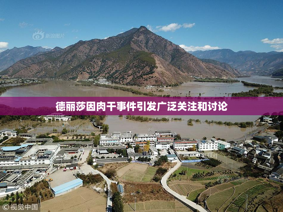 德丽莎因肉干事件引发广泛关注和讨论