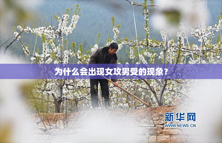 为什么会出现女攻男受的现象？