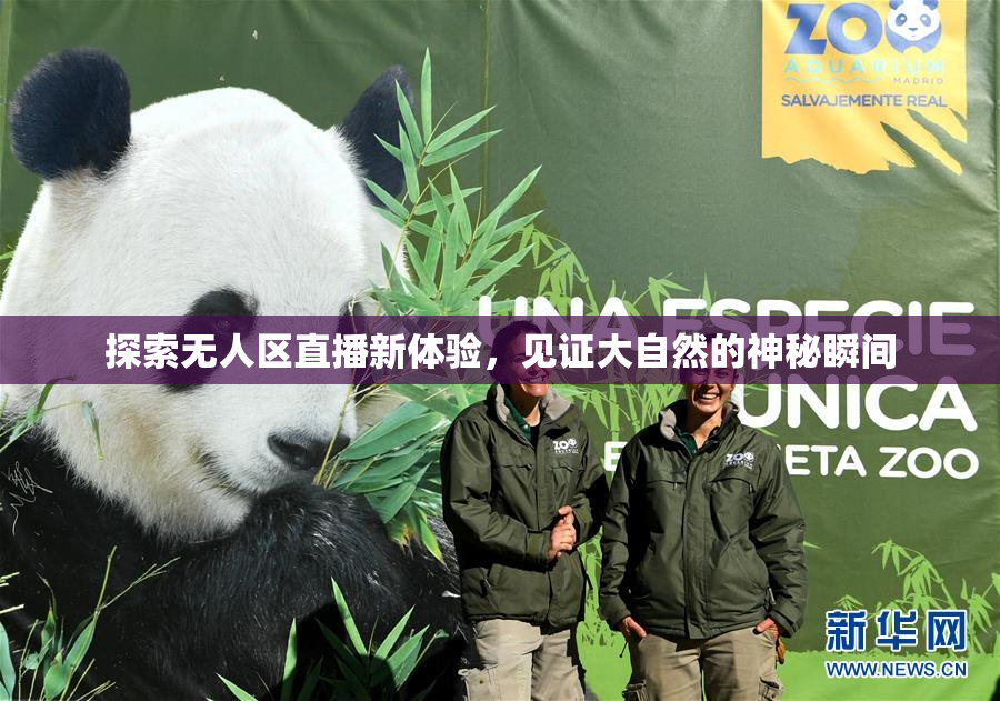 探索无人区直播新体验，见证大自然的神秘瞬间