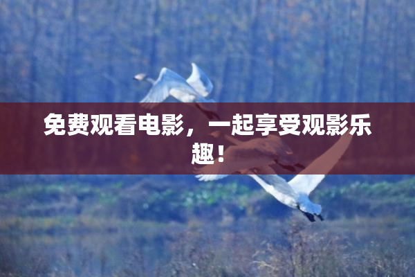 免费观看电影，一起享受观影乐趣！