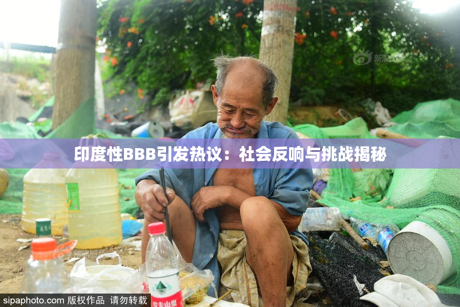 印度性BBB引发热议：社会反响与挑战揭秘