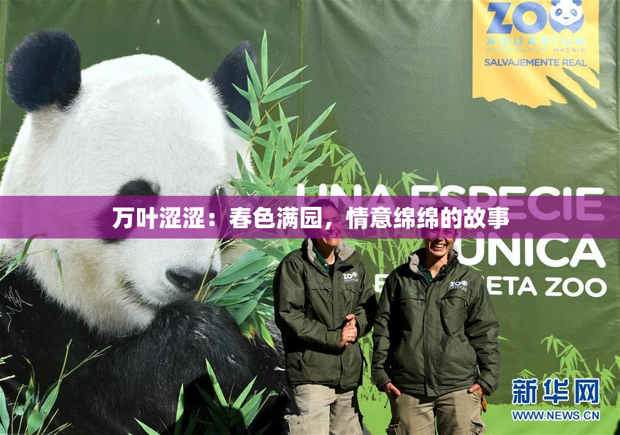 万叶涩涩：春色满园，情意绵绵的故事
