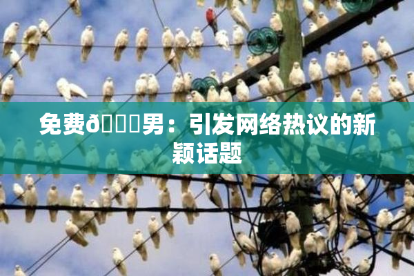 免费🔞男：引发网络热议的新颖话题