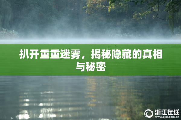 扒开重重迷雾，揭秘隐藏的真相与秘密