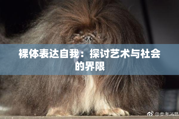 裸体表达自我：探讨艺术与社会的界限
