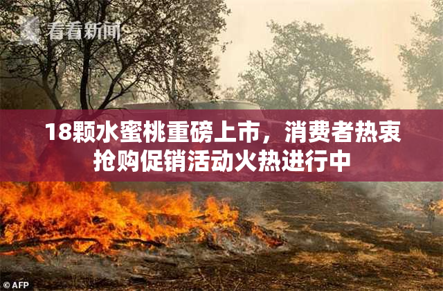 18颗水蜜桃重磅上市，消费者热衷抢购促销活动火热进行中