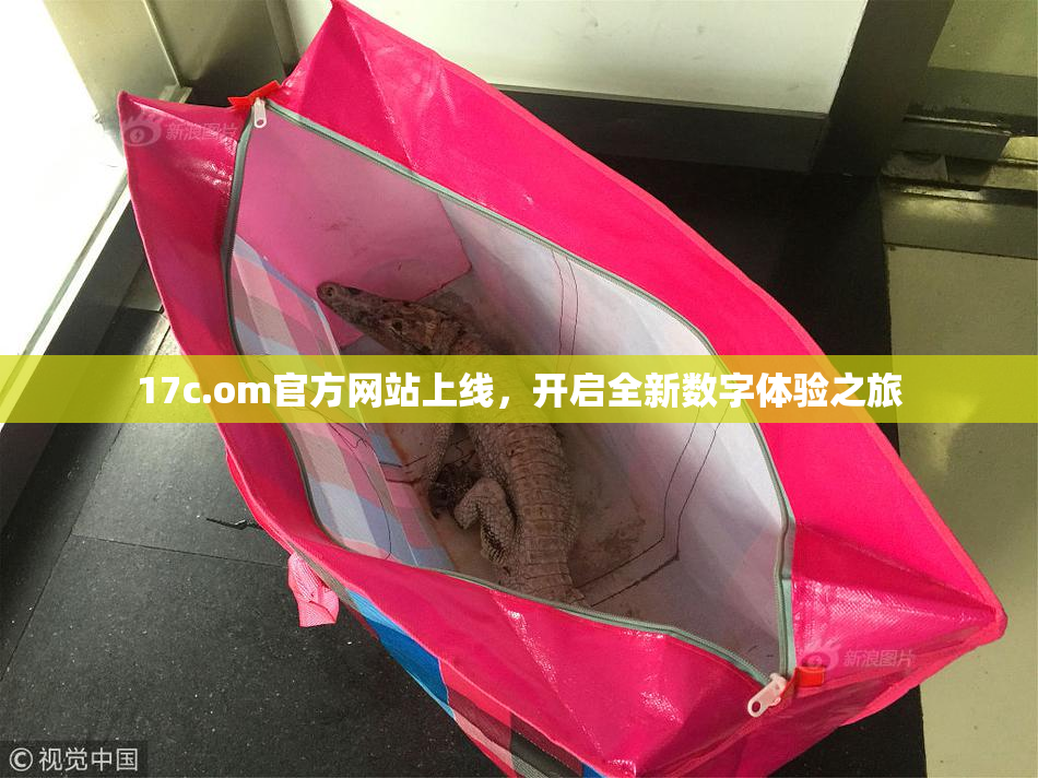 17c.om官方网站上线，开启全新数字体验之旅