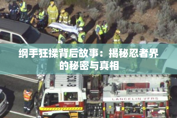 纲手狂揉背后故事：揭秘忍者界的秘密与真相