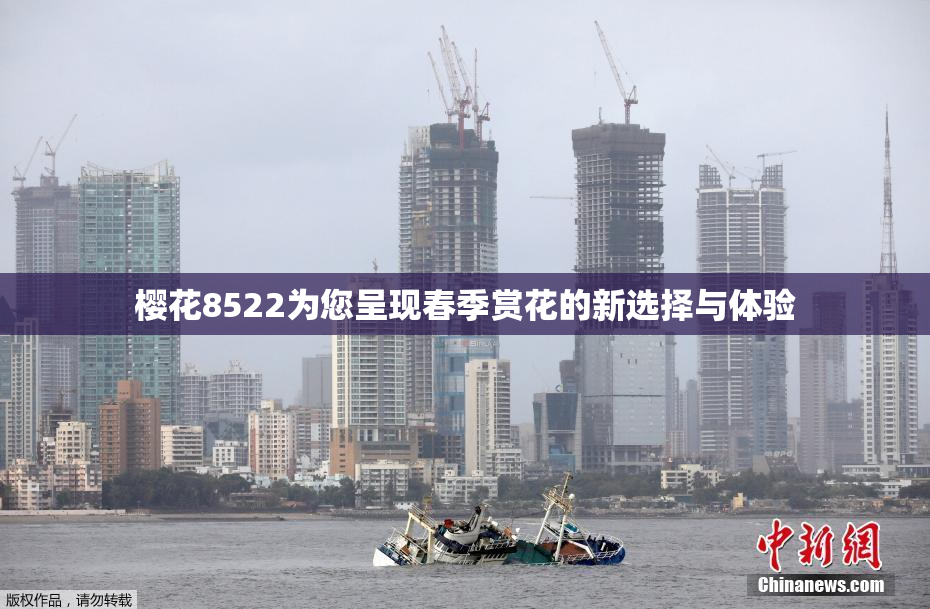 樱花8522为您呈现春季赏花的新选择与体验