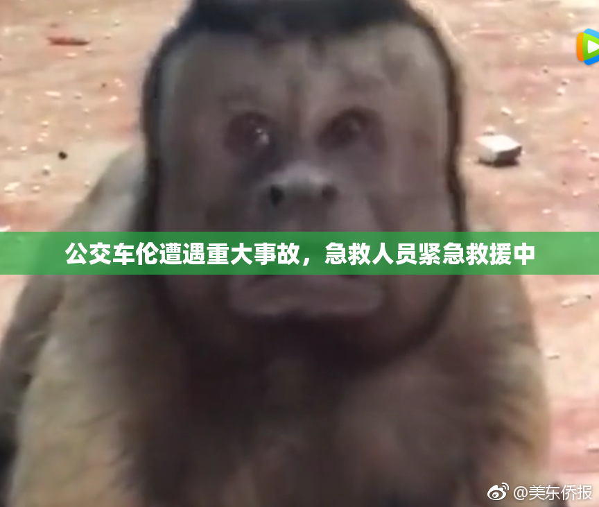 公交车伦遭遇重大事故，急救人员紧急救援中