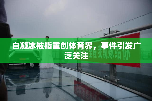 白凝冰被指重创体育界，事件引发广泛关注