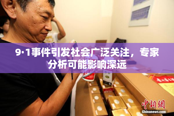 9·1事件引发社会广泛关注，专家分析可能影响深远