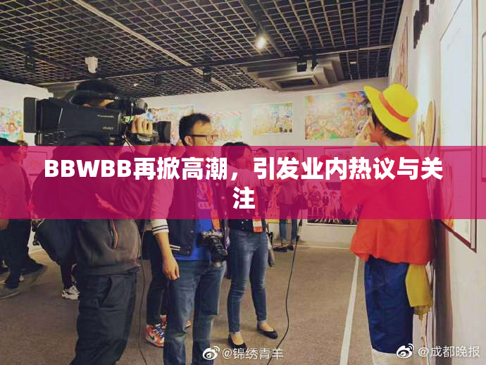 BBWBB再掀高潮，引发业内热议与关注